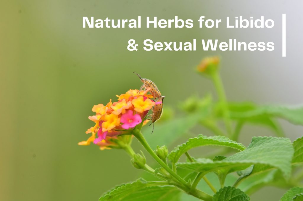 Natural Herbs That Boost Libido and Improve Sexual Health