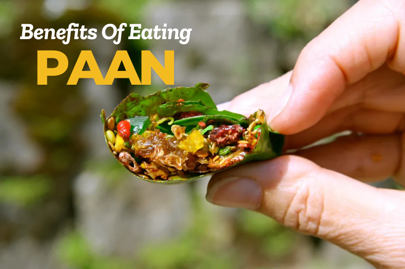 Benefits Of Eating Paan (Betel Leaves) Everyone Must Know