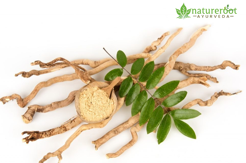 Tongkat Ali for Men: The Ultimate Natural Testosterone Booster