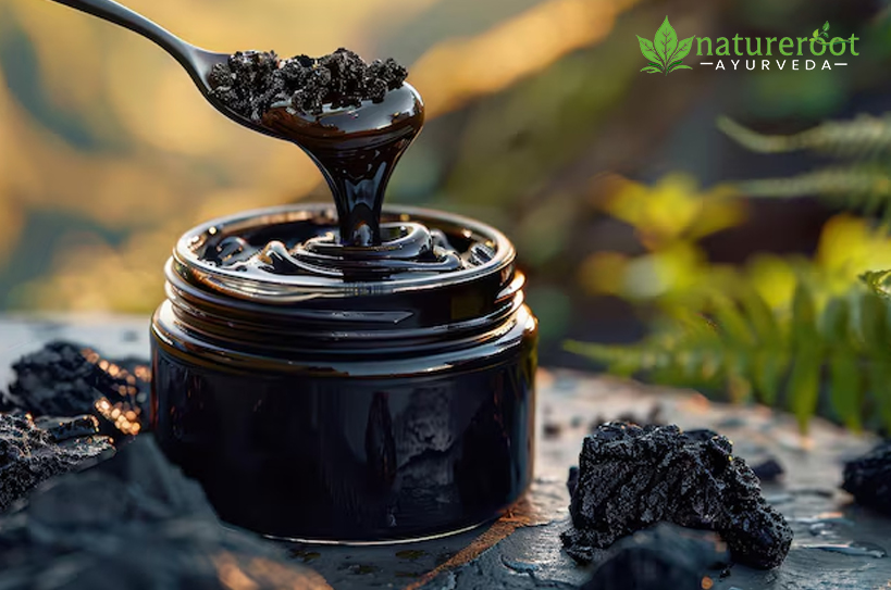 Shilajit Benefits for Men’s Sexual and Overall Health Shilajit Benefits for Men’s Sexual and Overall Health