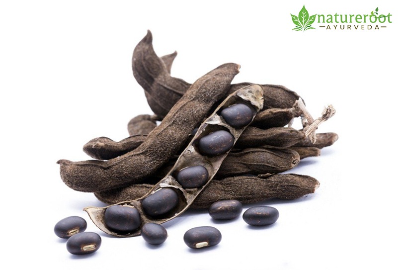 Kaunch Beej for Men: Enhance Libido, Mood, and Muscle Health Naturally