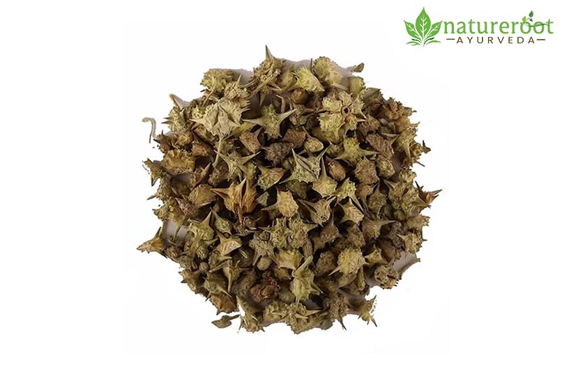 Benefits of Gokshura for Enhancing Male Sexual Performance