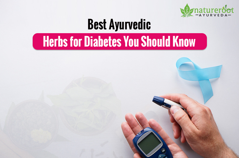 Best Ayurvedic Herbs for Diabetes You Should Know Best Ayurvedic Herbs for Diabetes You Should Know